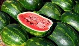 吃瓜爆料今日吃瓜图片,揭秘娱乐圈最新热点事件